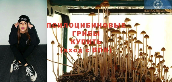 ПСИЛОЦИБИНОВЫЕ ГРИБЫ Балахна
