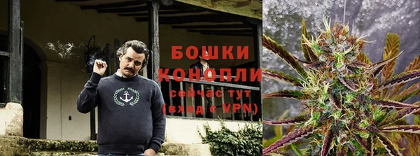 стаф Баксан