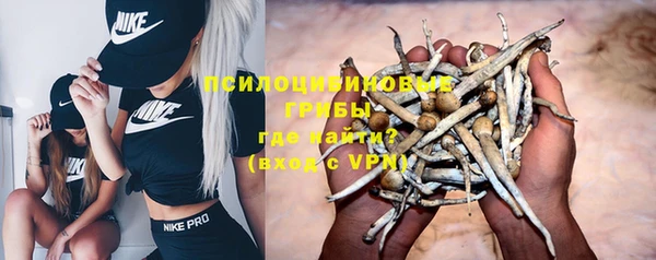 стаф Баксан